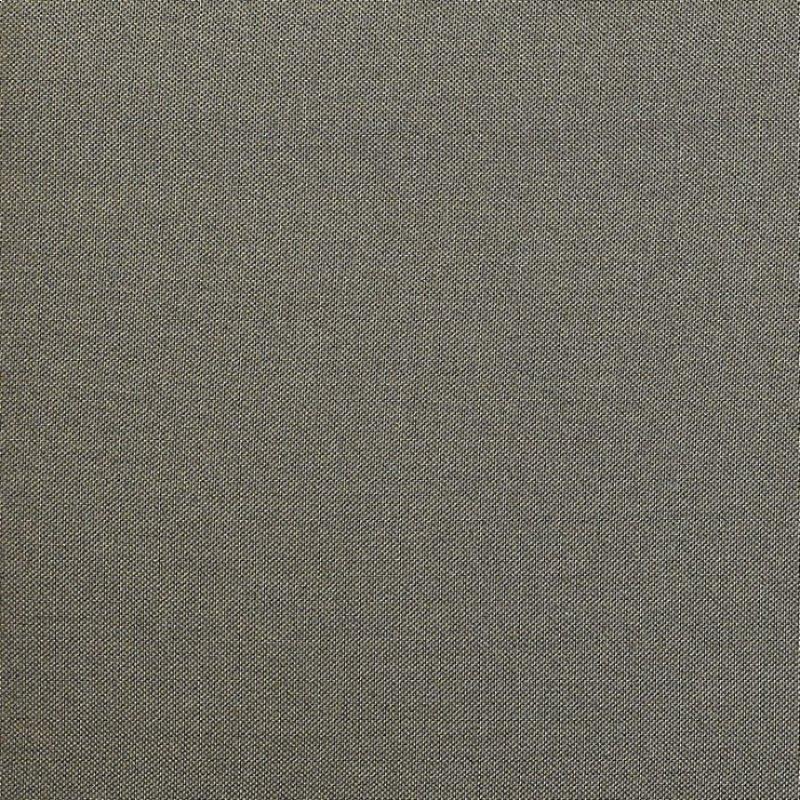 Furniture of America Murcia Stationary Fabric Accent Chair CM-AC6188GR IMAGE 3
