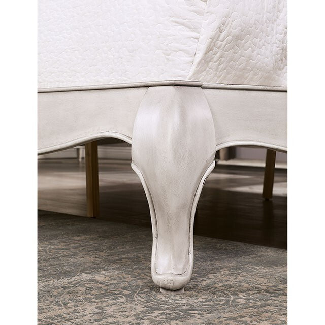 Furniture of America Esther Queen Upholstered Bed FOA7929Q-BED IMAGE 5