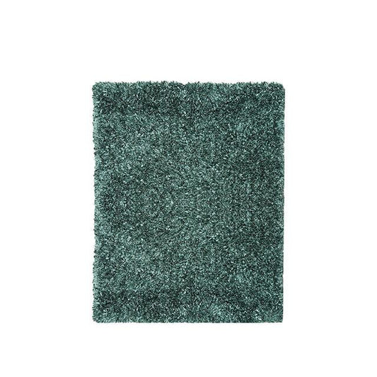 Furniture of America Annmarie RG4107 5' X 7' Teal Area Rug IMAGE 1