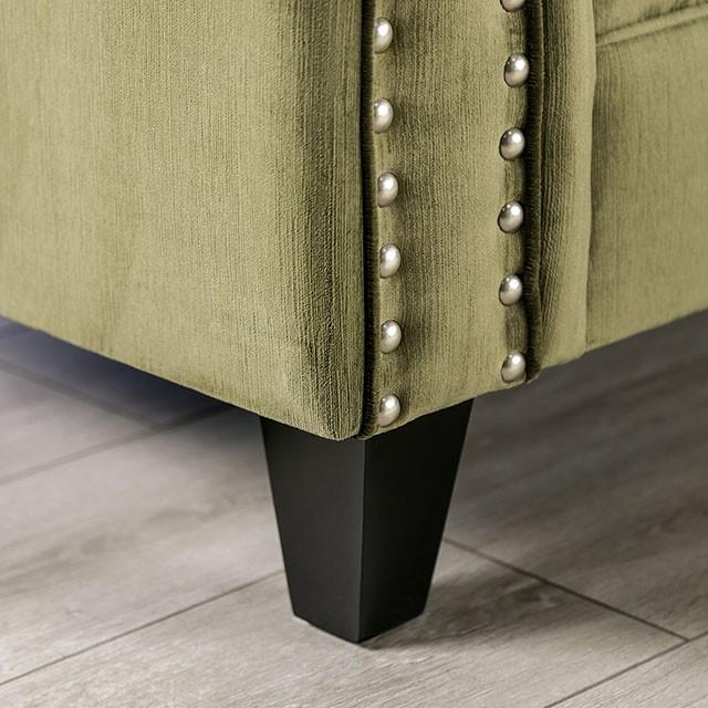 Furniture of America Kaye SM2684-LV Love Seat IMAGE 8