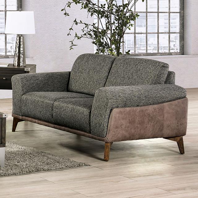 Furniture of America Kloten SM6045-LV Loveseat IMAGE 1