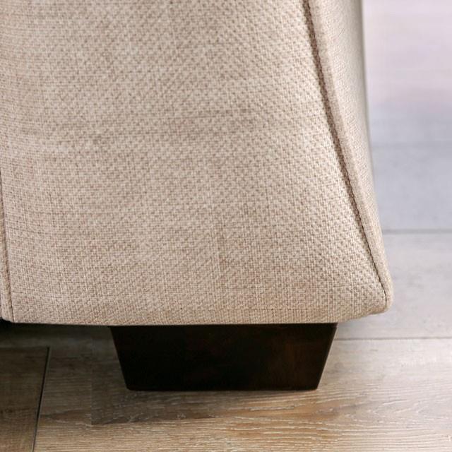 Furniture of America Jarrow SM8003-LV Loveseat IMAGE 4