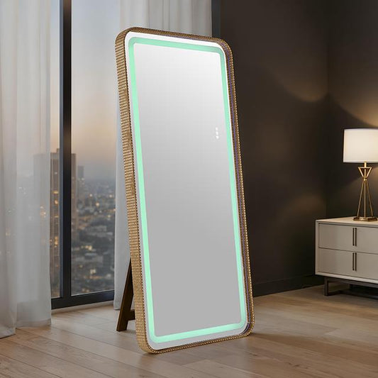 Furniture of America Kiley FM-AC8025GD-M Floor Mirror IMAGE 1