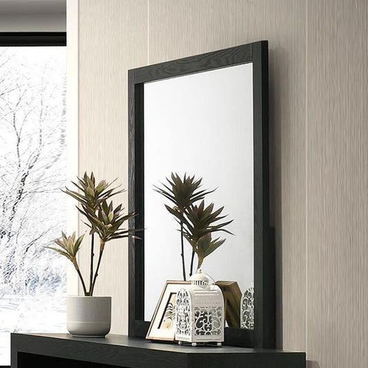 Furniture of America Altimari FM72026BK-M Mirror IMAGE 1