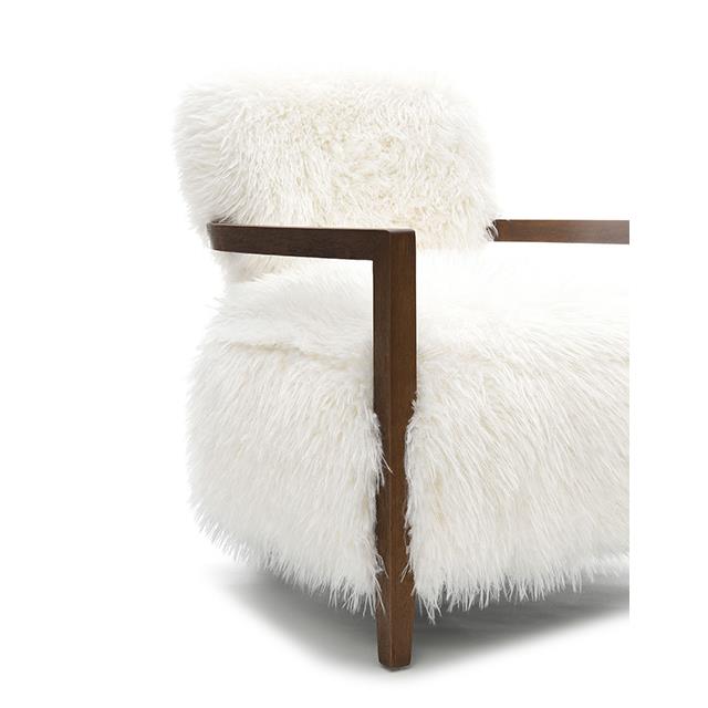 Furniture of America Eramo FM-AC6005WH Accent Chair IMAGE 6