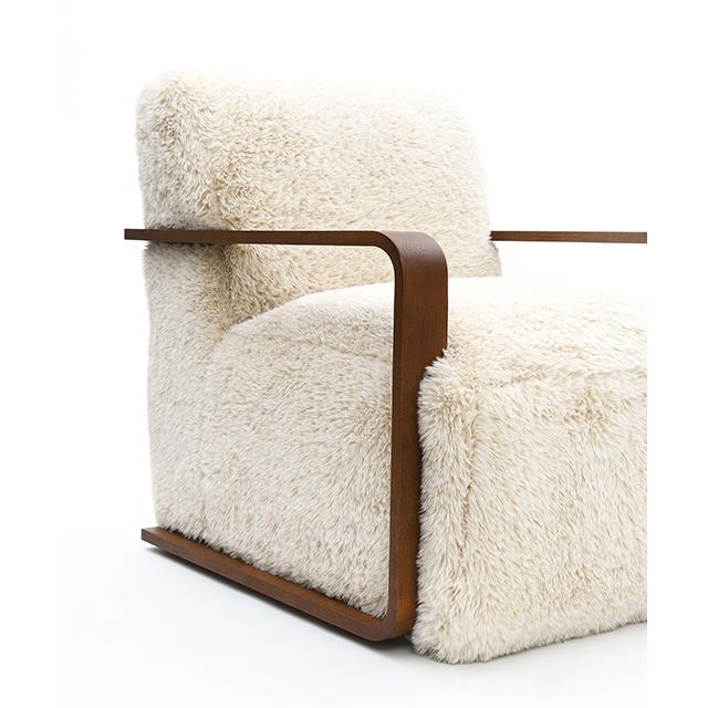 Furniture of America Elardo FM-AC6006BG Accent Chair IMAGE 6
