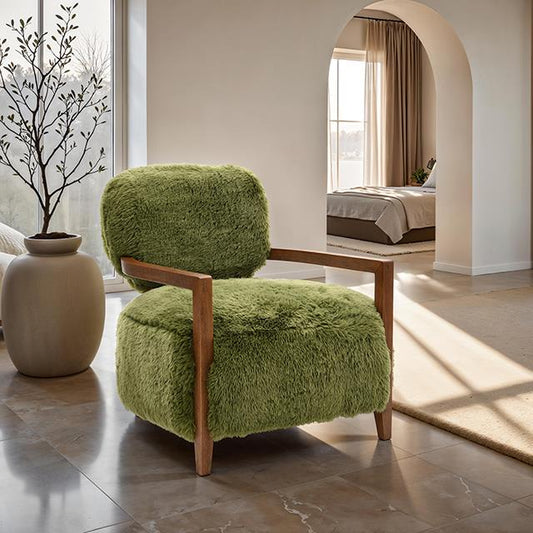 Furniture of America Eramo FM-AC6005GR-S Accent Chair IMAGE 1