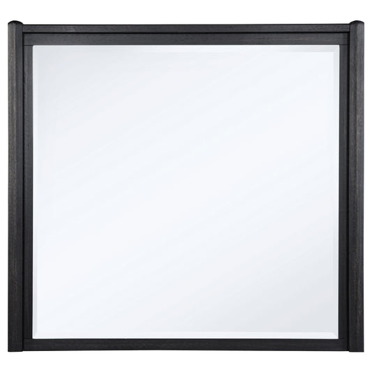 Coaster Furniture Leandro 222494 Dresser Mirror - Burnished Black IMAGE 1