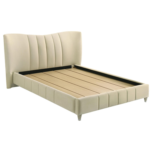 Coaster Furniture Evelyn 315956Q Upholstered Queen Panel Platform Bed - Ivory IMAGE 1