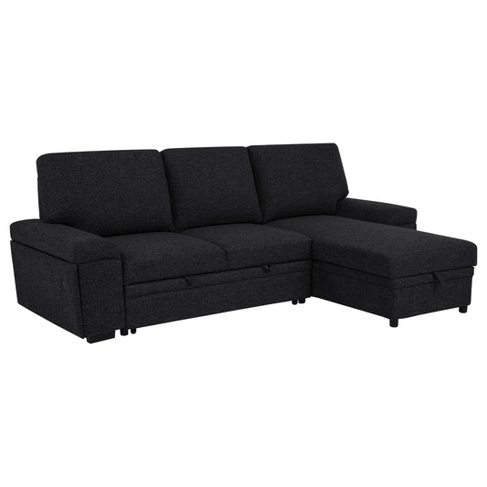 Coaster Furniture Demko 500357 Sleeper Sectional Sofa with Speaker and Storage Chaise - Black IMAGE 1