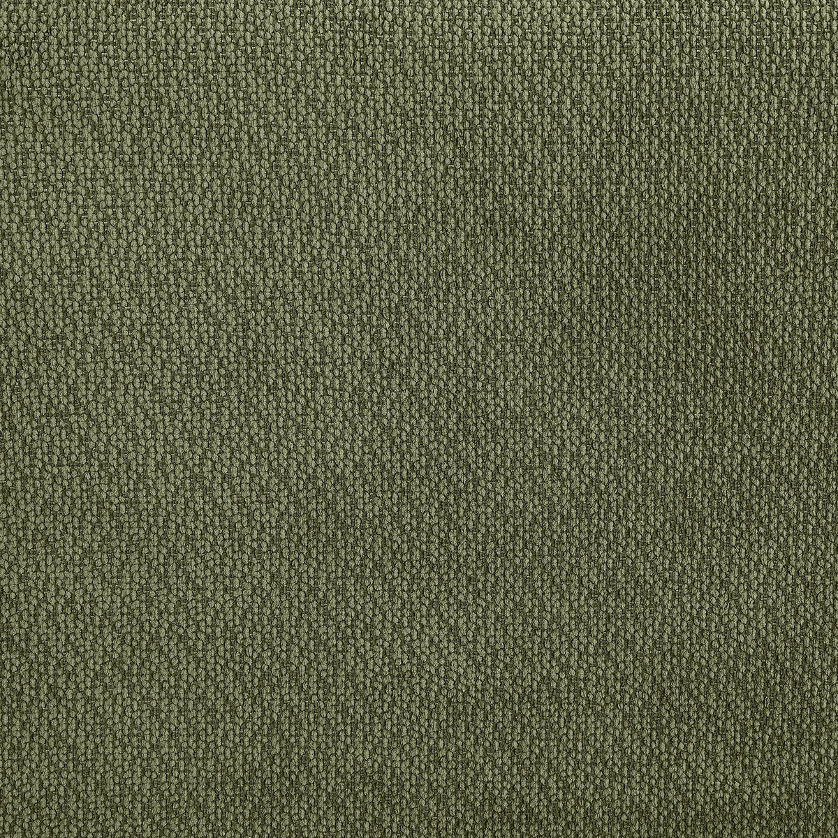 Coaster Furniture Elysia 551895-SOFA Chenille Upholstered Modular Lounge Sofa - Green IMAGE 9