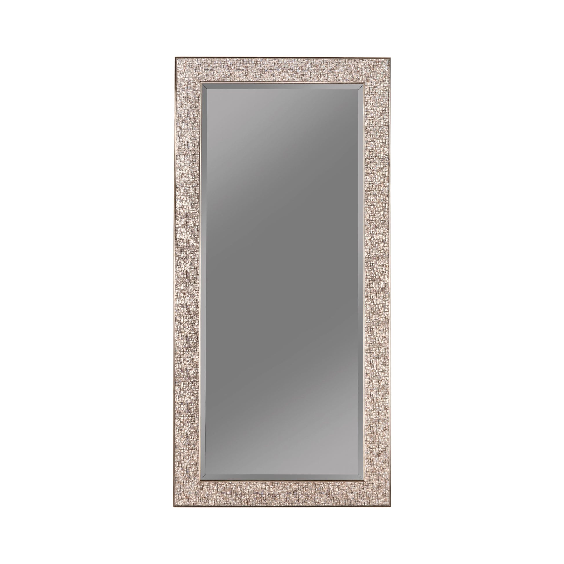 Coaster Furniture Rollins 901997 32 x 66 Inch Rectangular Floor Mirror - Silver IMAGE 1