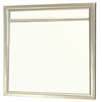 Furniture of America Briella CM7101M Mirror IMAGE 1