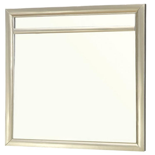 Furniture of America Briella CM7101M Mirror IMAGE 1