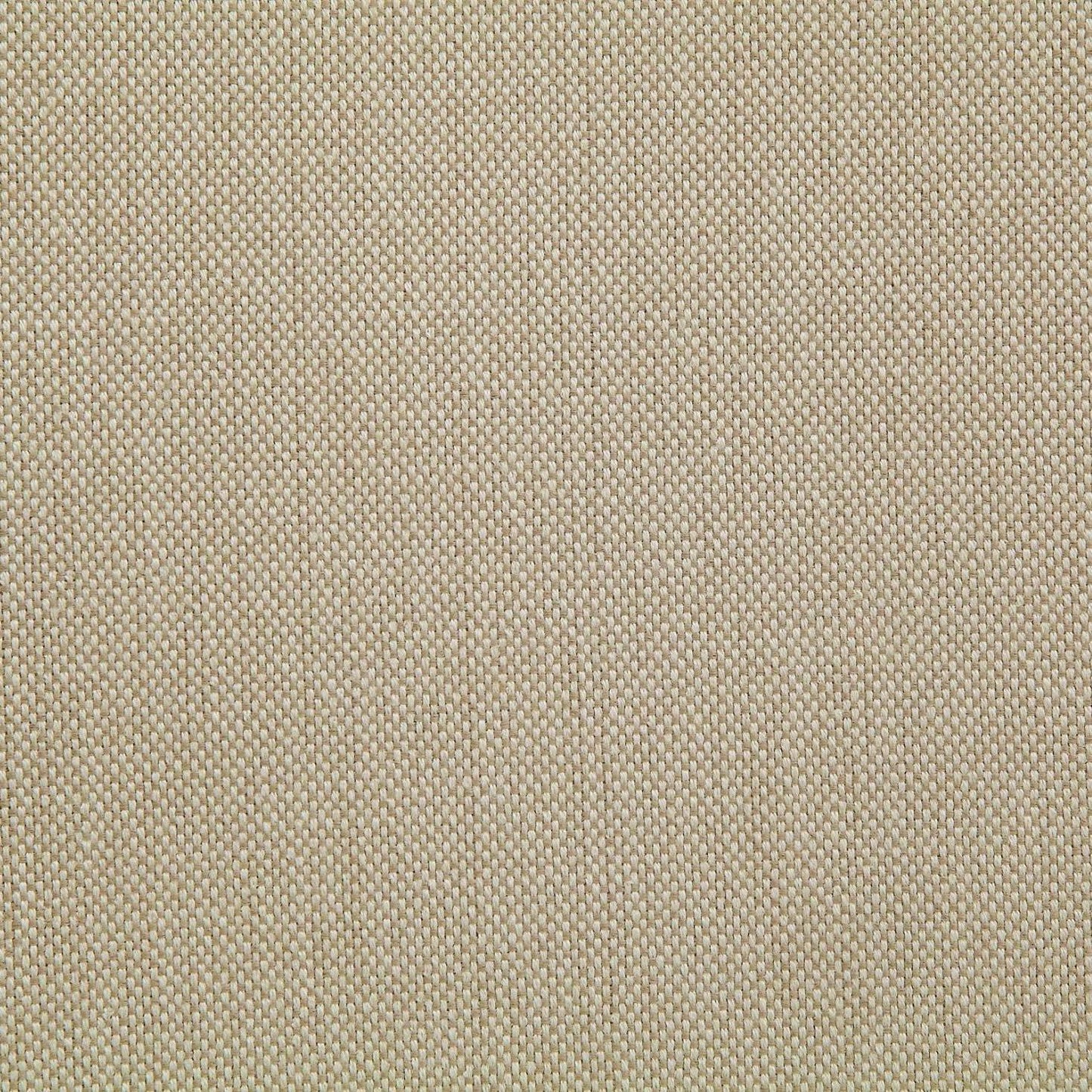 Furniture of America Holcroft CM3600SC-2PK Side Chair IMAGE 4