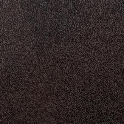  Furniture of America Pondera Leather Look Recliner CM6568-CH IMAGE 3