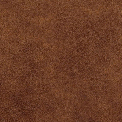  Furniture of America Nogales Leather Recliner CM6571-CH IMAGE 3