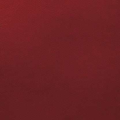  Furniture of America Cavan Leatherette Recliner CM6560RD-CH IMAGE 5