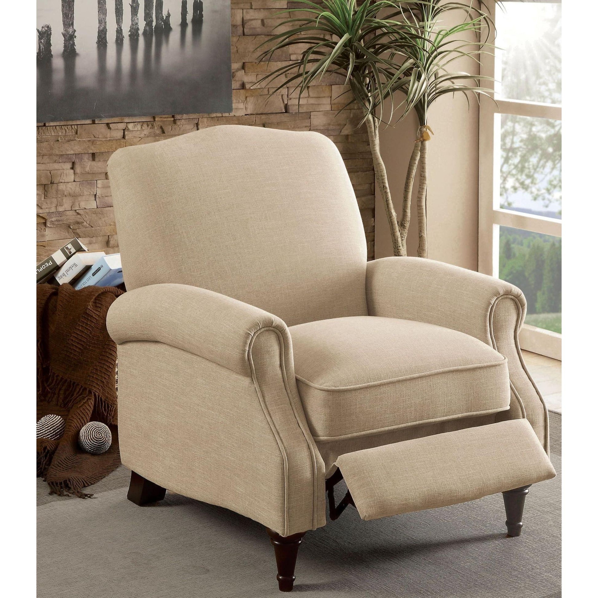  Furniture of America Paulette Fabric Recliner CM-RC6458BG IMAGE 3