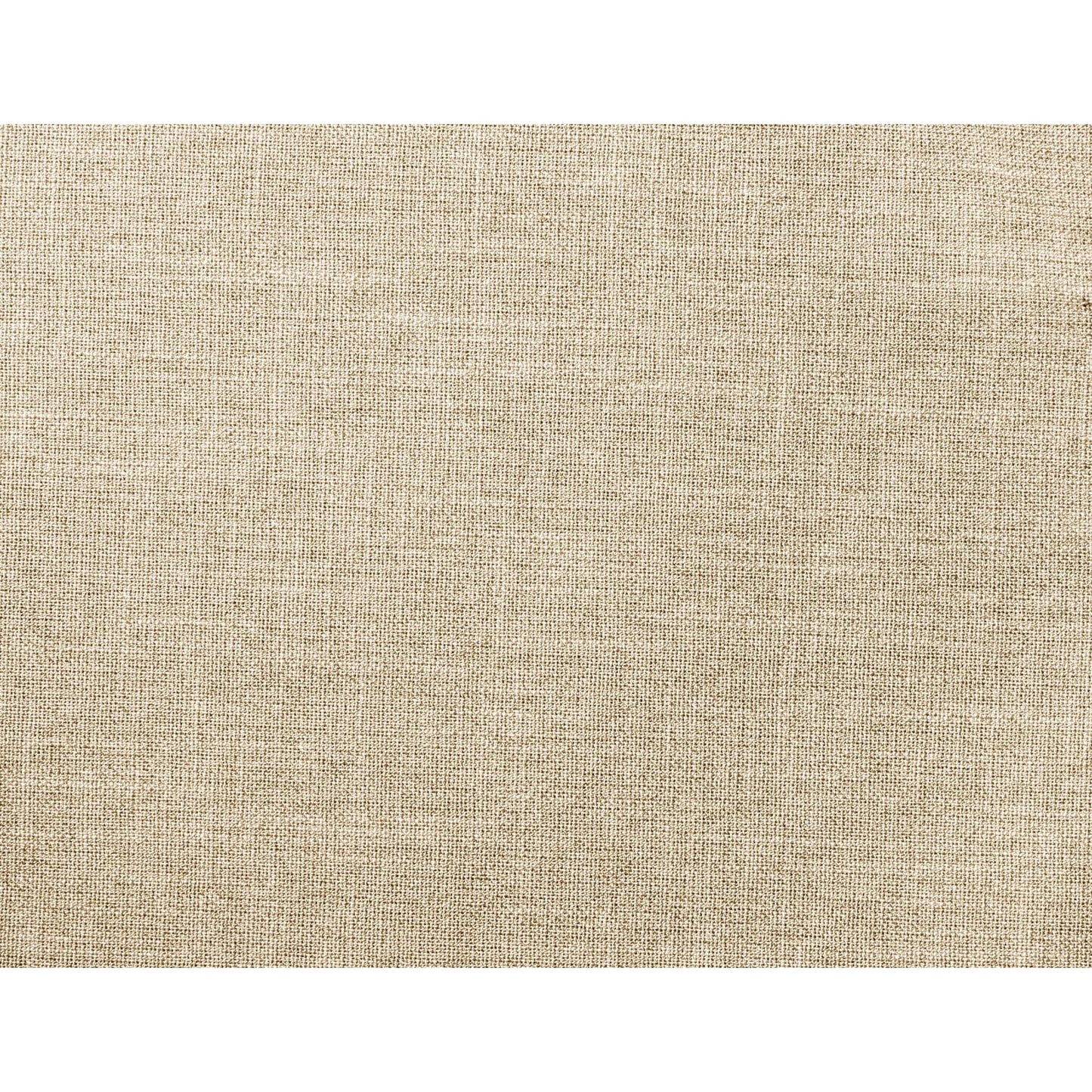  Furniture of America Paulette Fabric Recliner CM-RC6458BG IMAGE 4