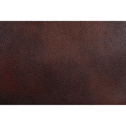  Furniture of America Chancellor Leatherette Recliner CM6788-CH IMAGE 4
