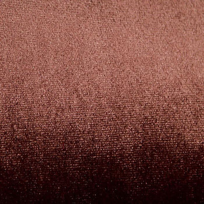  Furniture of America Stafa Stationary Fabric Accent Chair CM-AC6996 IMAGE 3