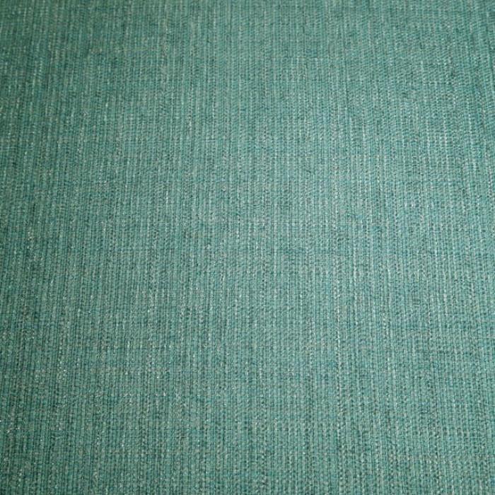  Furniture of America Agalva Stationary Fabric Accent Chair CM-AC6113BL IMAGE 4