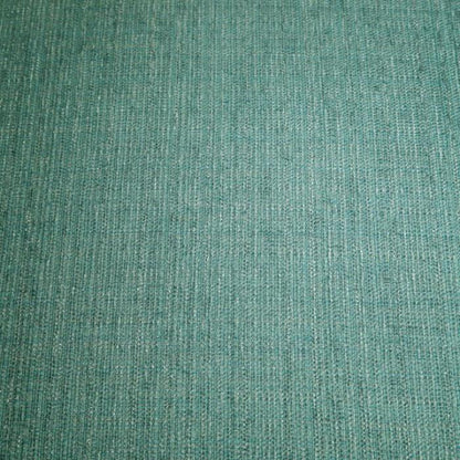  Furniture of America Agalva Stationary Fabric Accent Chair CM-AC6113BL IMAGE 4