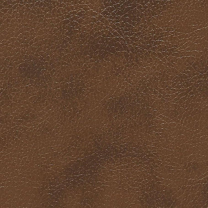  Furniture of America Pollux Reclining Leatherette Sofa CM6864-SF IMAGE 3