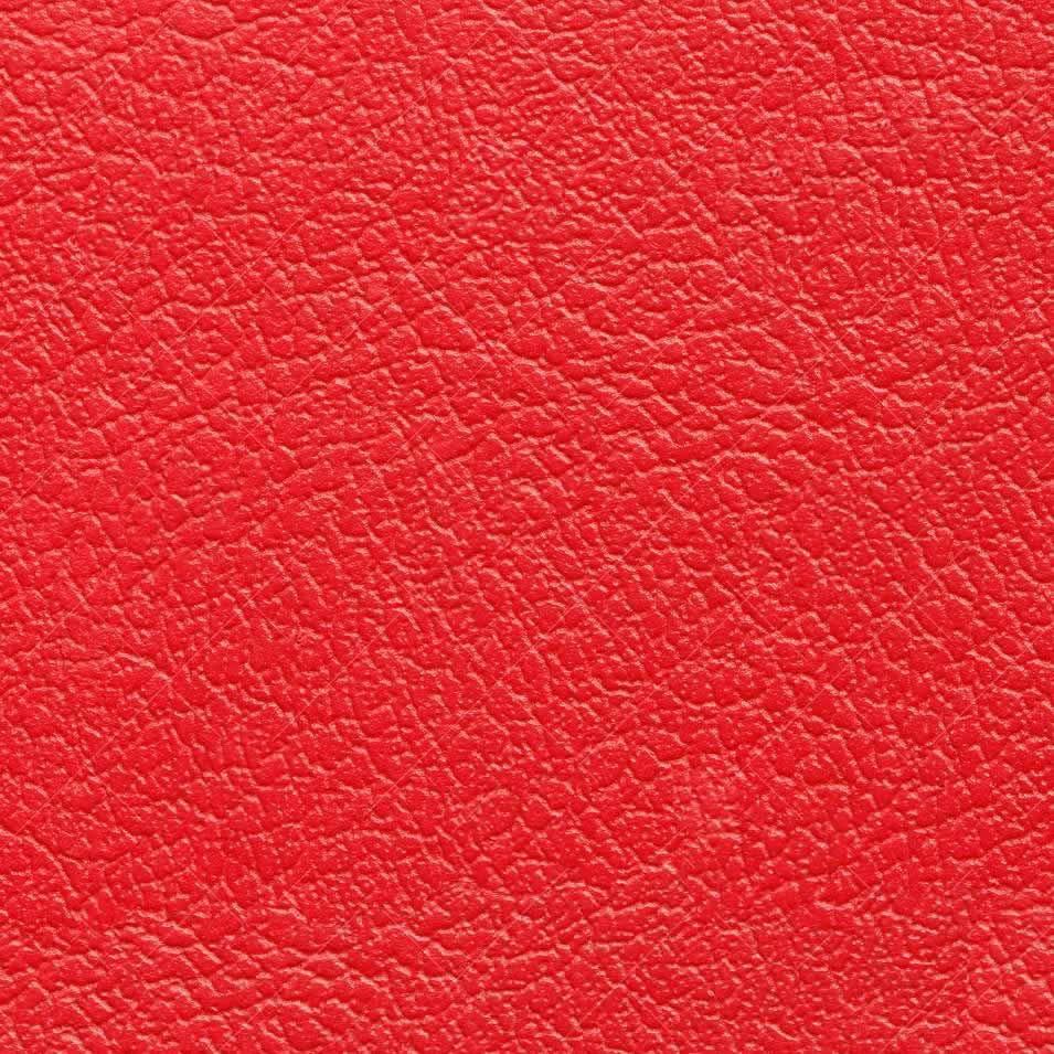  Furniture of America Reanna Stationary Leatherette Loveseat CM6414RD-LV IMAGE 4