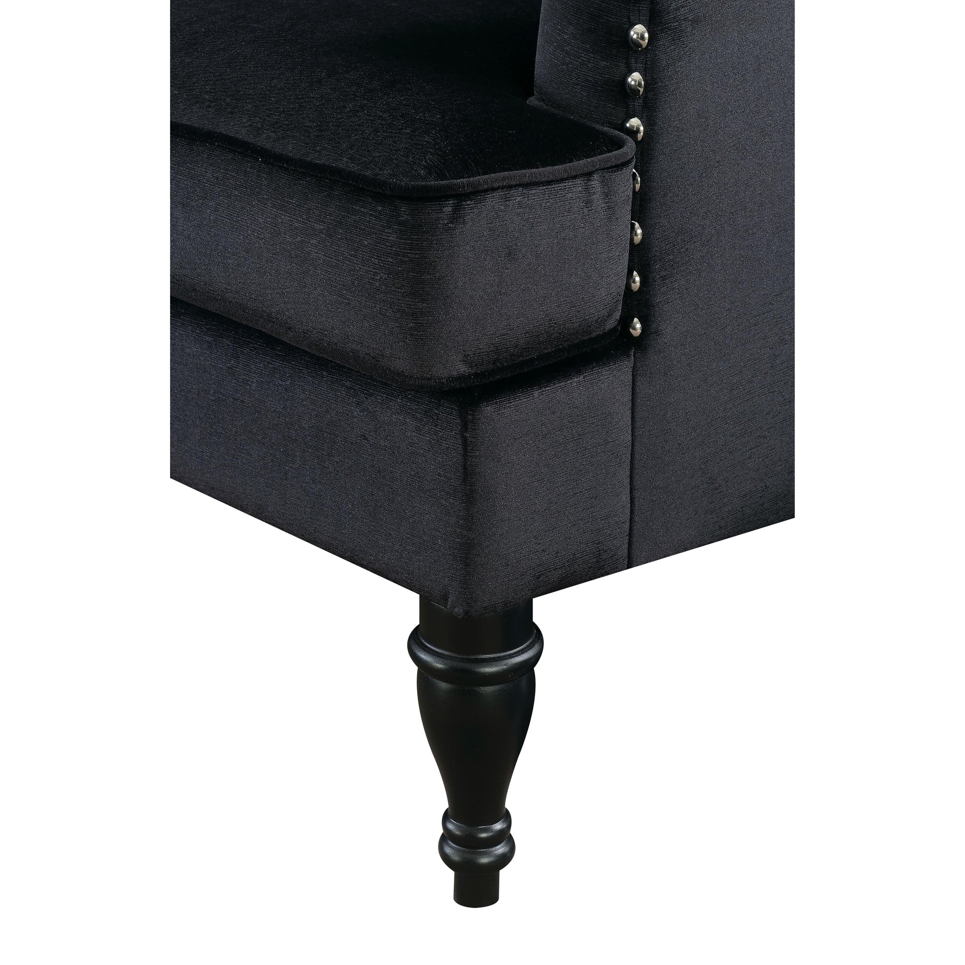  Furniture of America Manuela Stationary Fabric Accent Chair CM6145BK-CH IMAGE 3