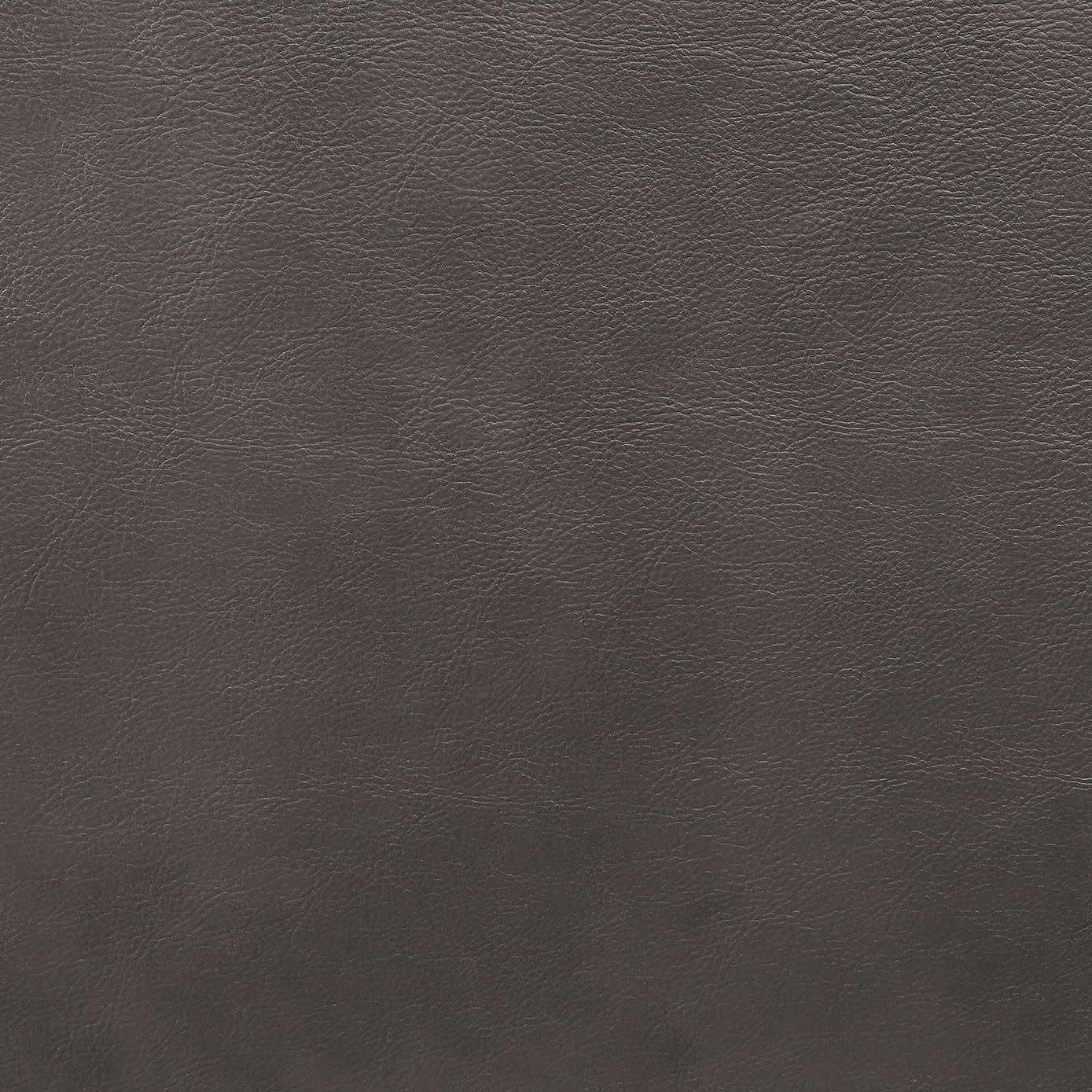  Furniture of America Nanette Stationary Leather Look Chair CM6425GY-CH IMAGE 6