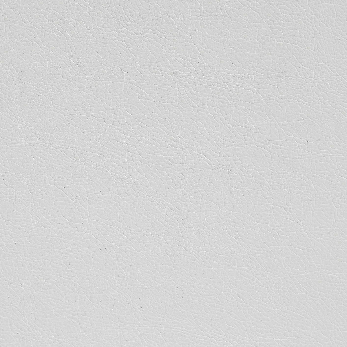  Furniture of America Nanette Stationary Leather Look Sofa CM6425WH-SF IMAGE 4