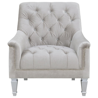  Coaster Furniture Avonlea 508463 Velvet Upholstered Sloped Arm Chair - Grey Velvet IMAGE 2
