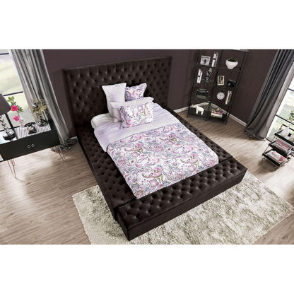  Furniture of America Davida Queen Upholstered Platform Bed with Storage CM7897BK-Q-BED IMAGE 3
