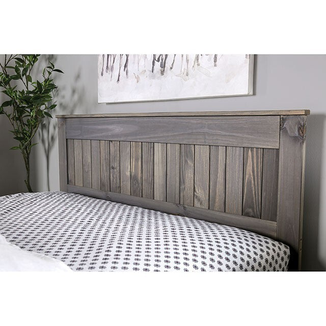  Furniture of America Rockwall Twin Panel Bed AM7973T-BED IMAGE 3