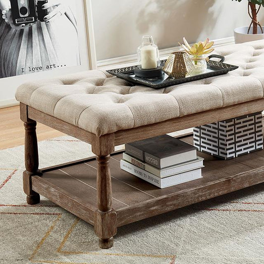 Furniture of America Tanya CM-BN5665BG Bench IMAGE 1