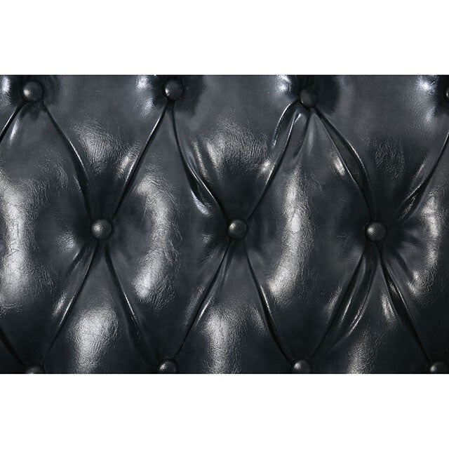  Furniture of America Sabini Stationary Leather Chair CM6009-CH IMAGE 8