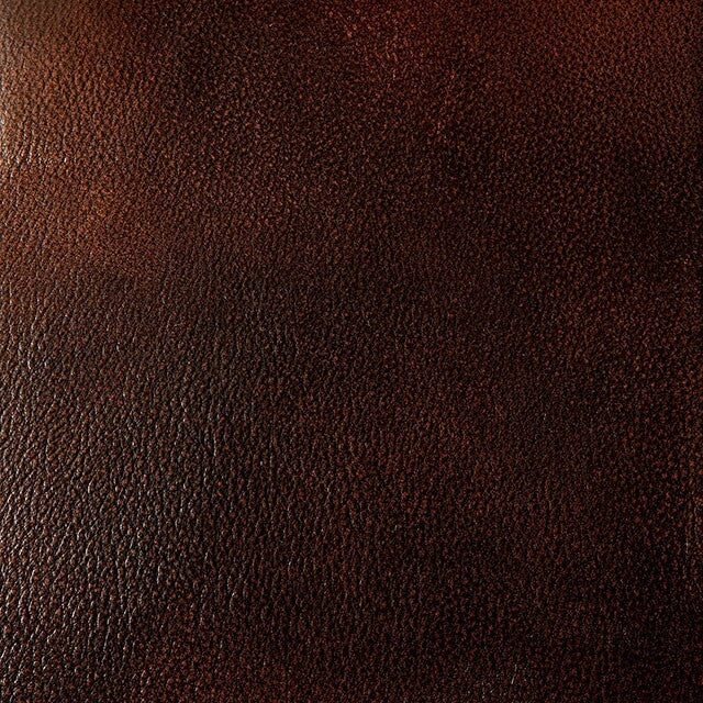  Furniture of America Turton Stationary Leather Match Sofa CM6191SF IMAGE 2