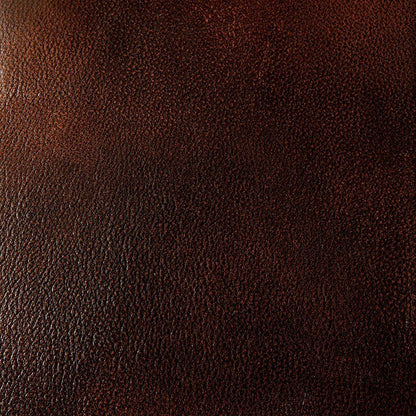 Furniture of America Turton Stationary Leather Match Sofa CM6191SF IMAGE 2
