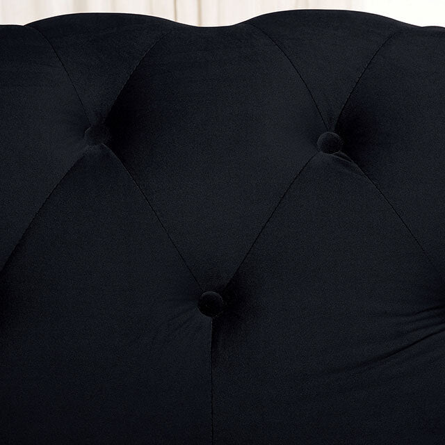  Furniture of America Giacomo Stationary Fabric Loveseat CM6240BK-LV-PK IMAGE 3