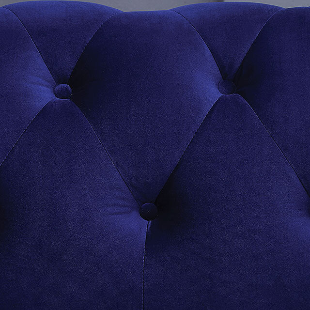  Furniture of America Giacomo Stationary Fabric Chair CM6240BL-CH-PK IMAGE 3