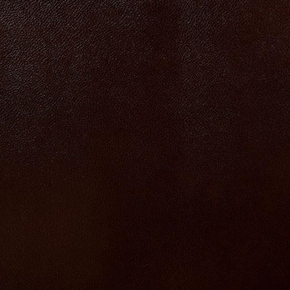  Furniture of America Jeanna Reclining Leather Look Sofa CM6343-SF IMAGE 4