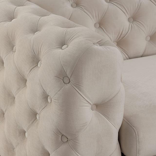  Furniture of America Sapphira Stationary Fabric Loveseat CM6498BG-LV-PK IMAGE 3