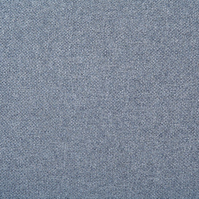  Furniture of America Maxime Stationary Fabric Loveseat CM6971BL-LV IMAGE 4