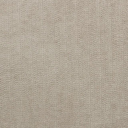  Furniture of America Maxime Stationary Fabric Chair CM6971LG-CH IMAGE 4