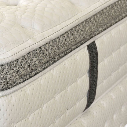  Furniture of America Alyssum DM1550EK-M E.King Mattress IMAGE 4