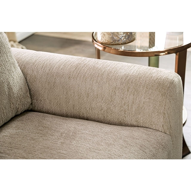  Furniture of America Dagmar Stationary Fabric Loveseat EM6723BG-LV IMAGE 3