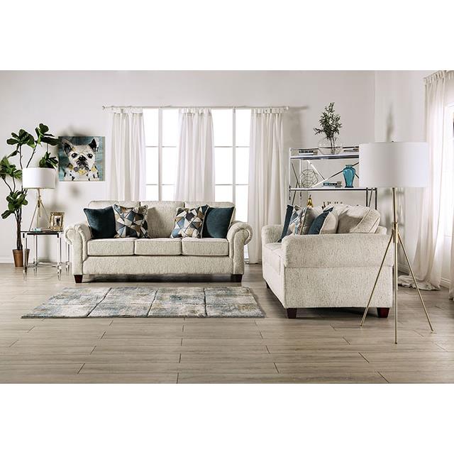Furniture of America Delgada SM7749-LV Loveseat IMAGE 3