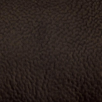  Furniture of America Hadley Leatherette Recliner CM6870-CH IMAGE 2